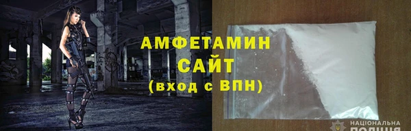 гашик Тайга
