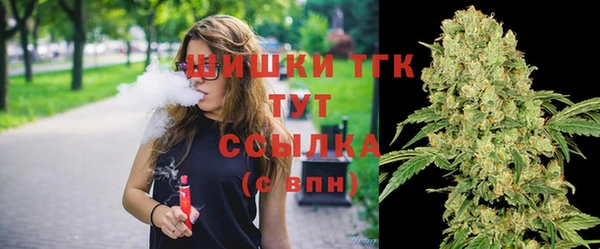 гашик Тайга