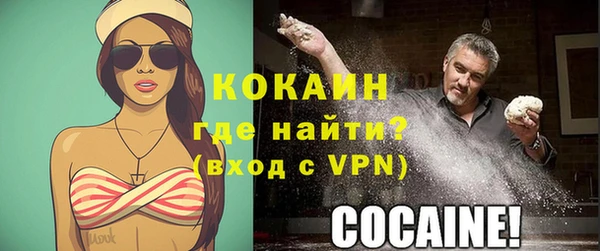 гашик Тавда