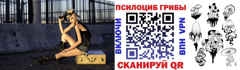 купить закладку Кузнецк Галлюциногенные грибы мицелий
